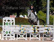 Milella Aham Shere GioCav2013 S5 1360 : Aham Shere, Campionati Italiani Giovani Cavalli, Cattolica, Milella Fabrizio, ph Stefano Secchi ©